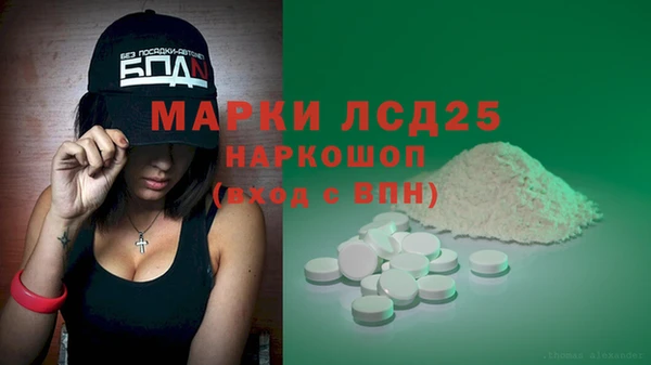 дмт Каменка