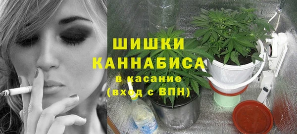 МДПВ Дмитров