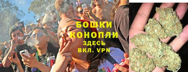 прущие крисы Арсеньев