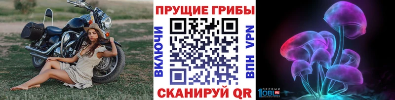 Псилоцибиновые грибы Magic Shrooms Полевской